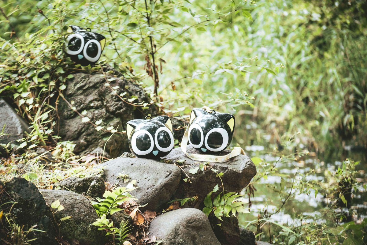 ⊹⁺‧┈┈┈┈┈ シャオヘイ“猫ver.”型ポップコーンBOXも 明日発売.ᐟ