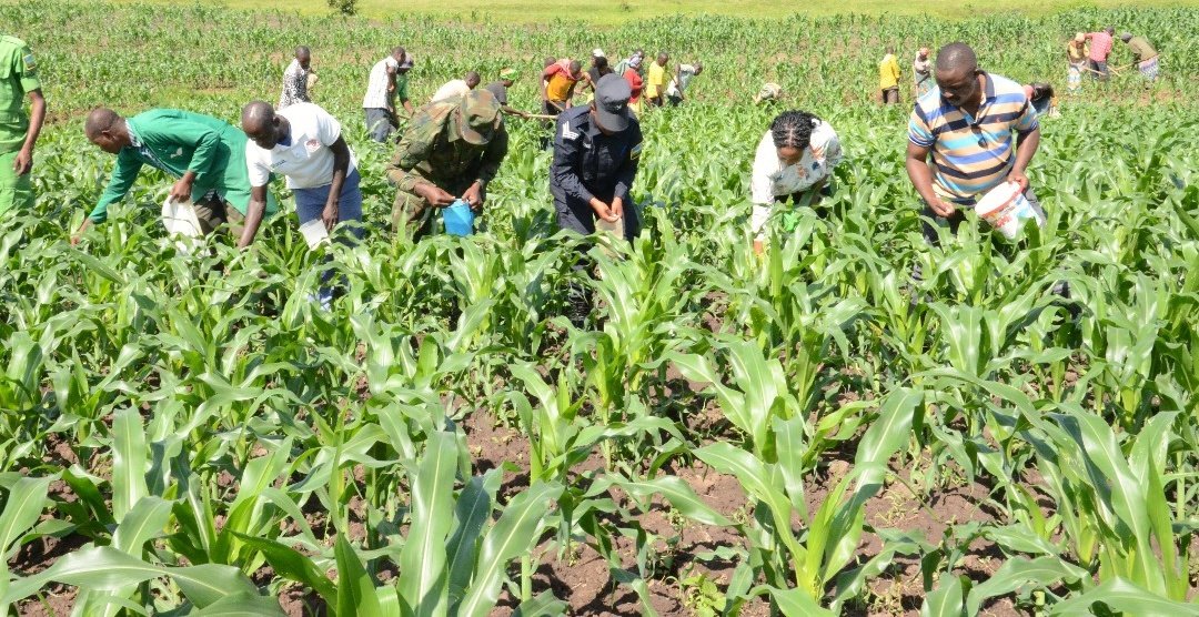 Gatsibo District tweet media