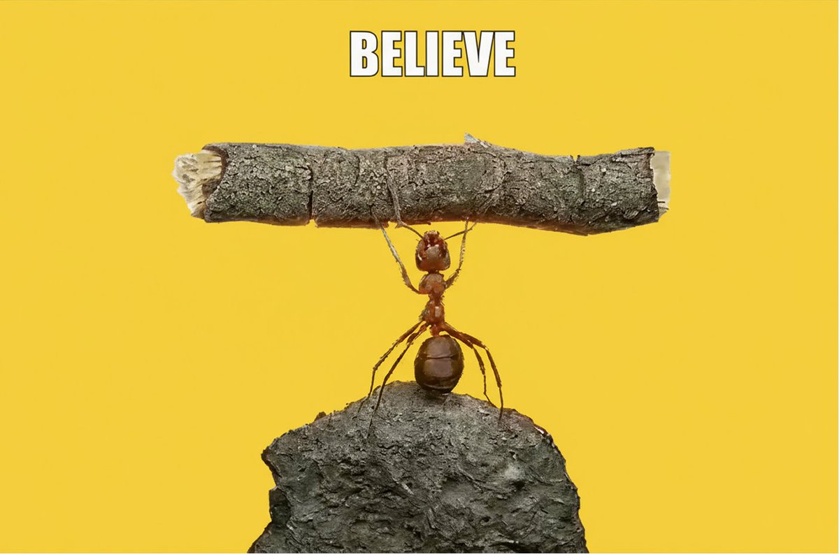 binance's tweet photo. The intern also got this folder on his comp called "keep going."

Check out some pics from it: https://t.co/qFFVsFHEJE