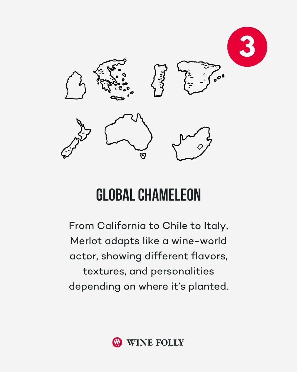 Think Merlot is just soft and simple? Well, it’s not. Don’t Judge by Reputation: Yes, it’s approachable—but high-end Merlot can rival the most prestigious reds in structure and nuance.

🎯 Learn more at winefolly.com/grapes/merlot/

#merlot #redwine #grapevariety #bordeauxgrape