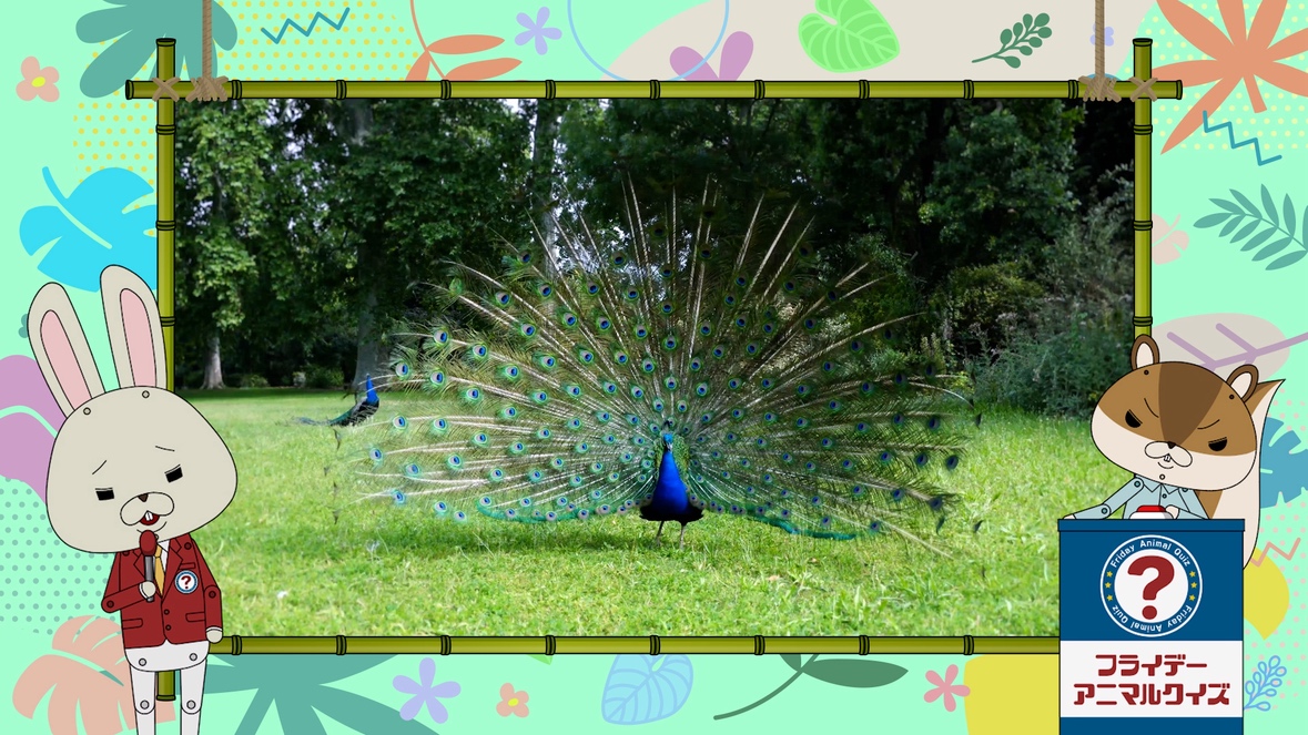 めざましテレビ on X