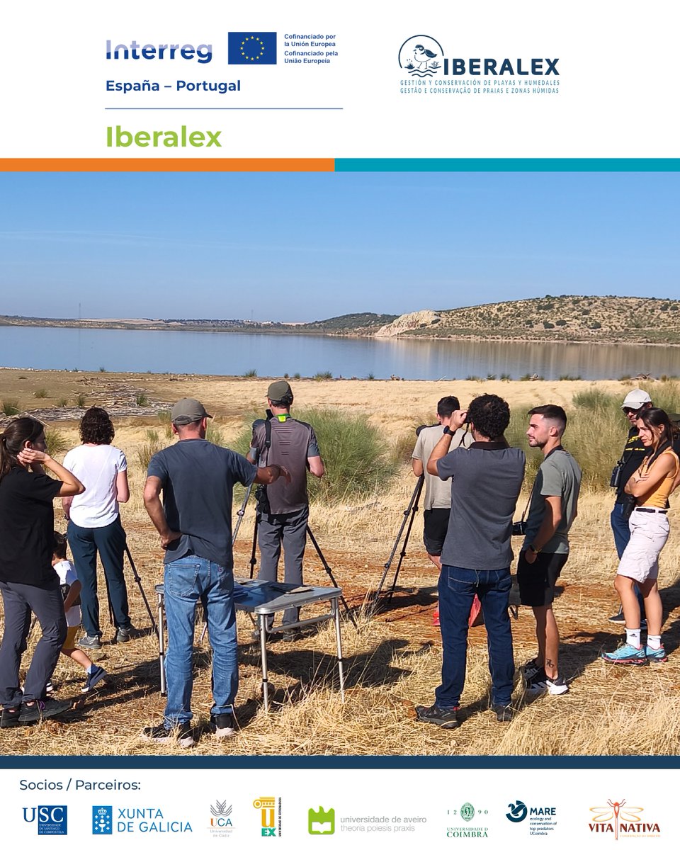 Iberalex_Poctep's tweet photo. 🌿En Extremadura celebramos el #InterregDay2025 con una limpieza + observación de aves en el embalse de Alange 🐦

Ciencia, educación y acción directa para cuidar al Chorlitejo Patinegro también tierra adentro.

Gracias a @unex_oficial y voluntarios 👏

#IBERALEX #POCTEP https://t.co/5wB8uehzD5