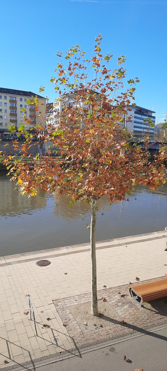 FrauTharn's tweet photo. Hallo 👋🏻🫶🏻
Mich gibt es noch - allerdings meide ich bewusst sämtliches social media und "toure" seit Wochen durch Deutschland und Frankreich, um das Leben noch mehr zu spüren und festzuhalten!!
Passt auf Euch auf und denkt dran, dass wir nur dieses eine Leben haben! https://t.co/guPjiI0fgP