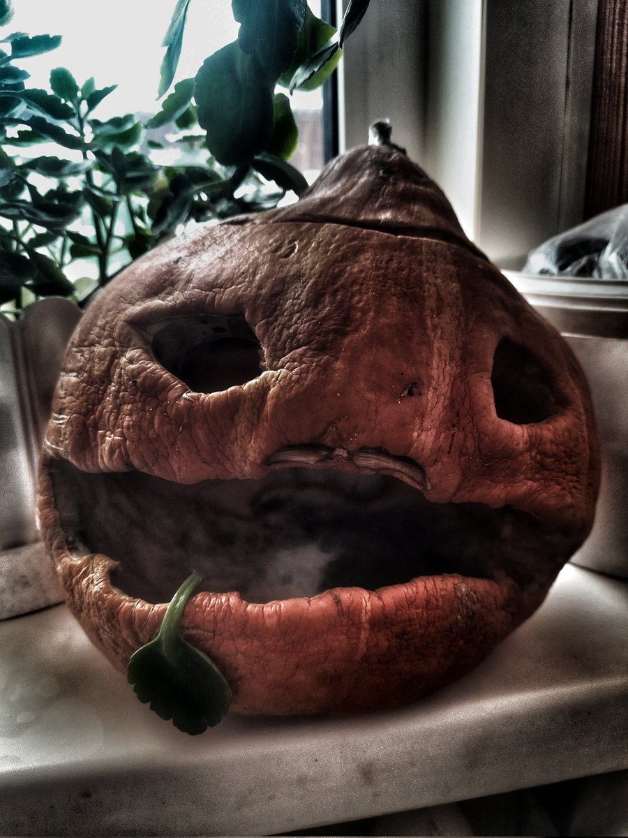 LRdcrow's tweet image. 