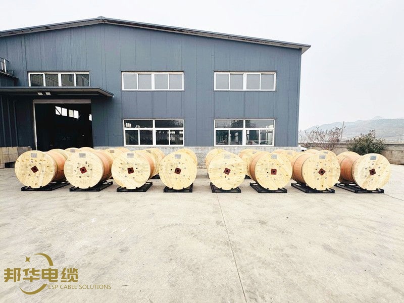 JerryZ13912's tweet photo. Due to the extreme professionalism, so production is extremely busy!
500+ Spools TEC cable &amp; Capillary had been shipped in the past 3 month. Thanks the trust of all our clients!
For inquiry, please contact with me.
Email: sales04@espcablesolutions.com 
#TEC #ControlLine #PDC https://t.co/pCCGg9lL1Z