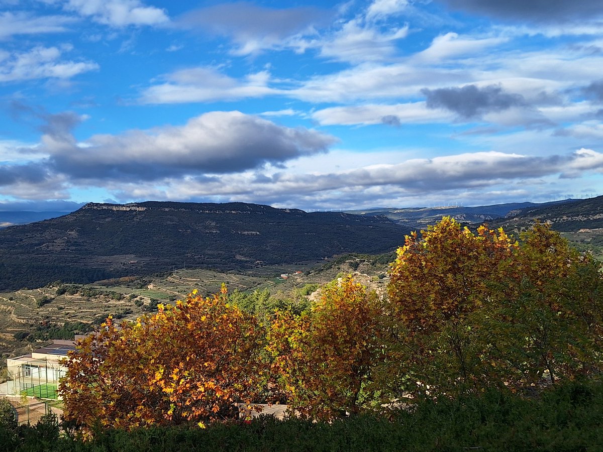 Observatori #Morella T. Mínima 8,4 ⁰C,  1008,5 hPa ,total precipitación ayer 17,4 mm. Cielo  nuboso.  Buen jueves. 
 <a href="/AEMET_CValencia/">AEMET Comunitat Valenciana</a> <a href="/AlexMuozGarc/">Álex Muñoz 💯 🧡</a>
 <a href="/AlendaMavi/">Mavi Alenda Morán</a>  <a href="/fran40tf/">☀⛅️️fran40 ☔️</a>
    <a href="/rasalvi49/">Ramon Salvi</a>   <a href="/Fran_Lorenzo95/">Fran Lorenzo</a>  <a href="/minervagra/">Minerva GG</a> <a href="/sibilafc/">Silvia Ferrer</a> <a href="/fran40tf/">☀⛅️️fran40 ☔️</a> <a href="/apuntoratge/">À Punt Oratge</a> <a href="/anamaria190977/">Ana María Herrero</a>
