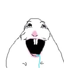 RTN JDOT tweet media