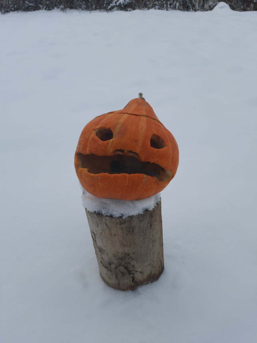 LRdcrow's tweet image. 