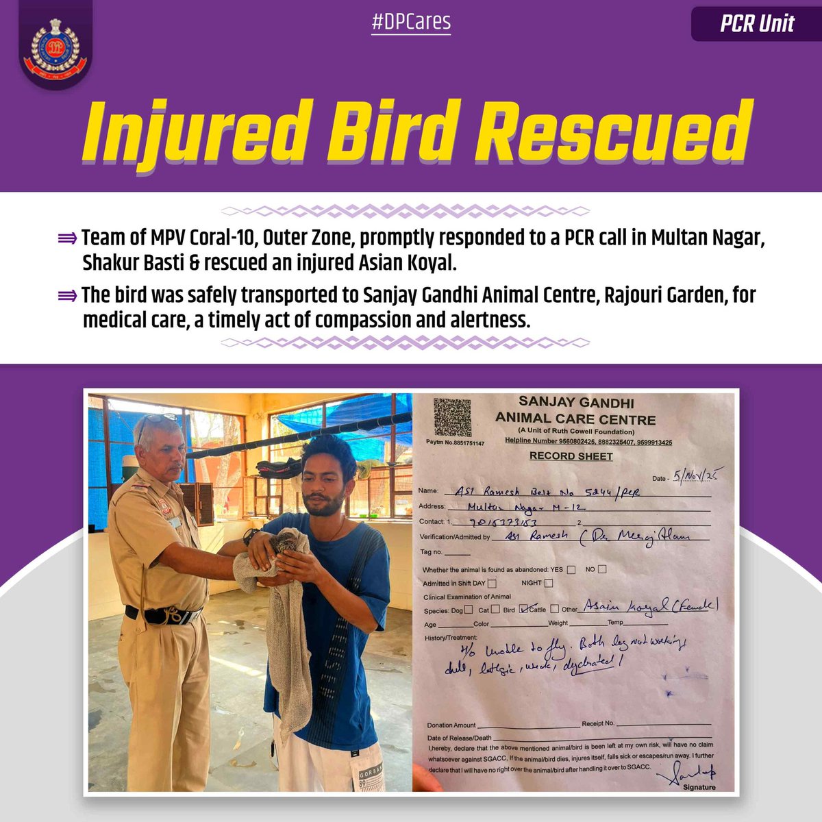 DCPPCRDELHI's tweet photo. #PCR staff of #Outer #Zone, swiftly responded to a distress call in Multan Nagar and saved an injured #Asian #Koyal by ensuring its immediate treatment, reflecting care, sensitivity and dedication to duty.
#PETAIndia
#DPUpdates
#PCRUpdates
@DelhiPolice 
@CPDelhi https://t.co/HyGIcNUdTi