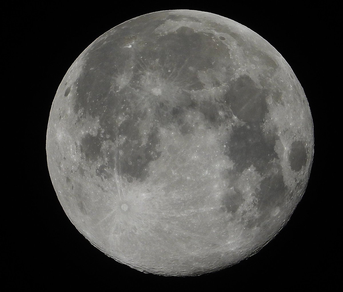 Livindeadgirl00's tweet photo. Saw it shining through the window after giving up on seeing it so got up & was clear as 😍🌝1am. #beaversupermoon #beavermoon https://t.co/TlkU7JydXc