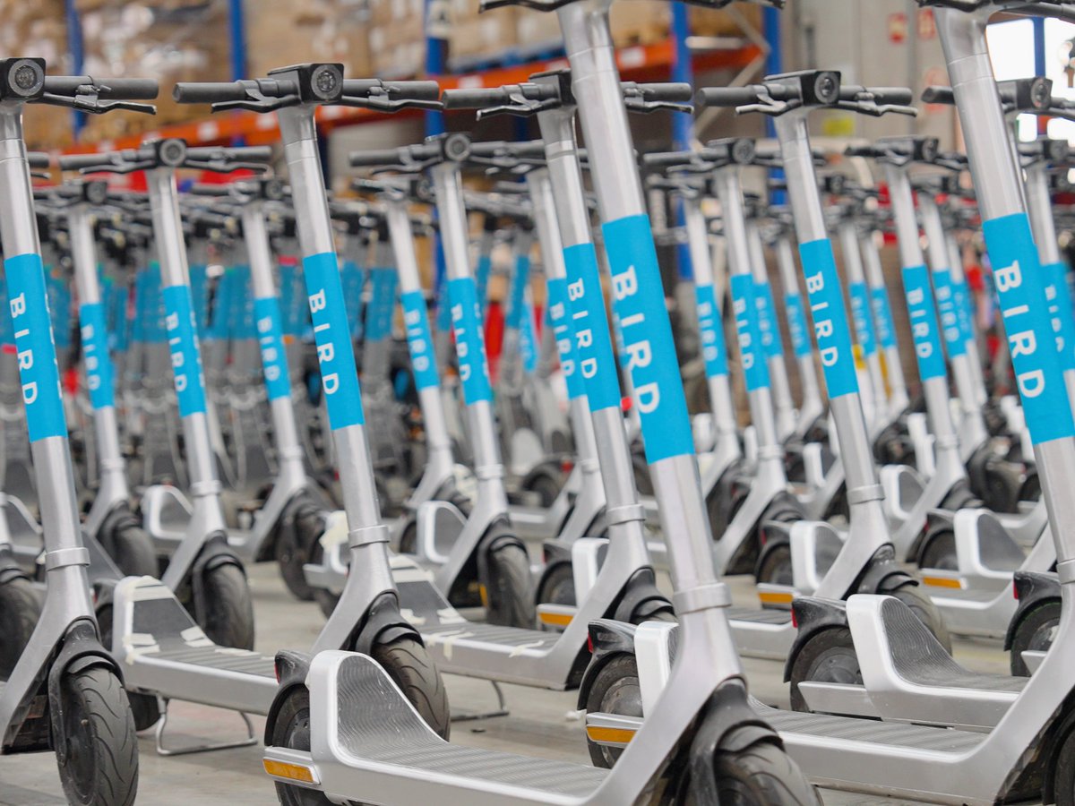 Zag Daily tweet media