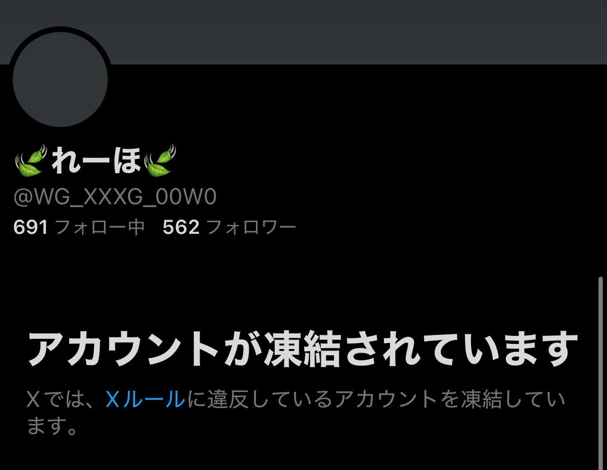 11月6日15時頃、妻れーほのTwitterアカウントが凍結致しましたのでご