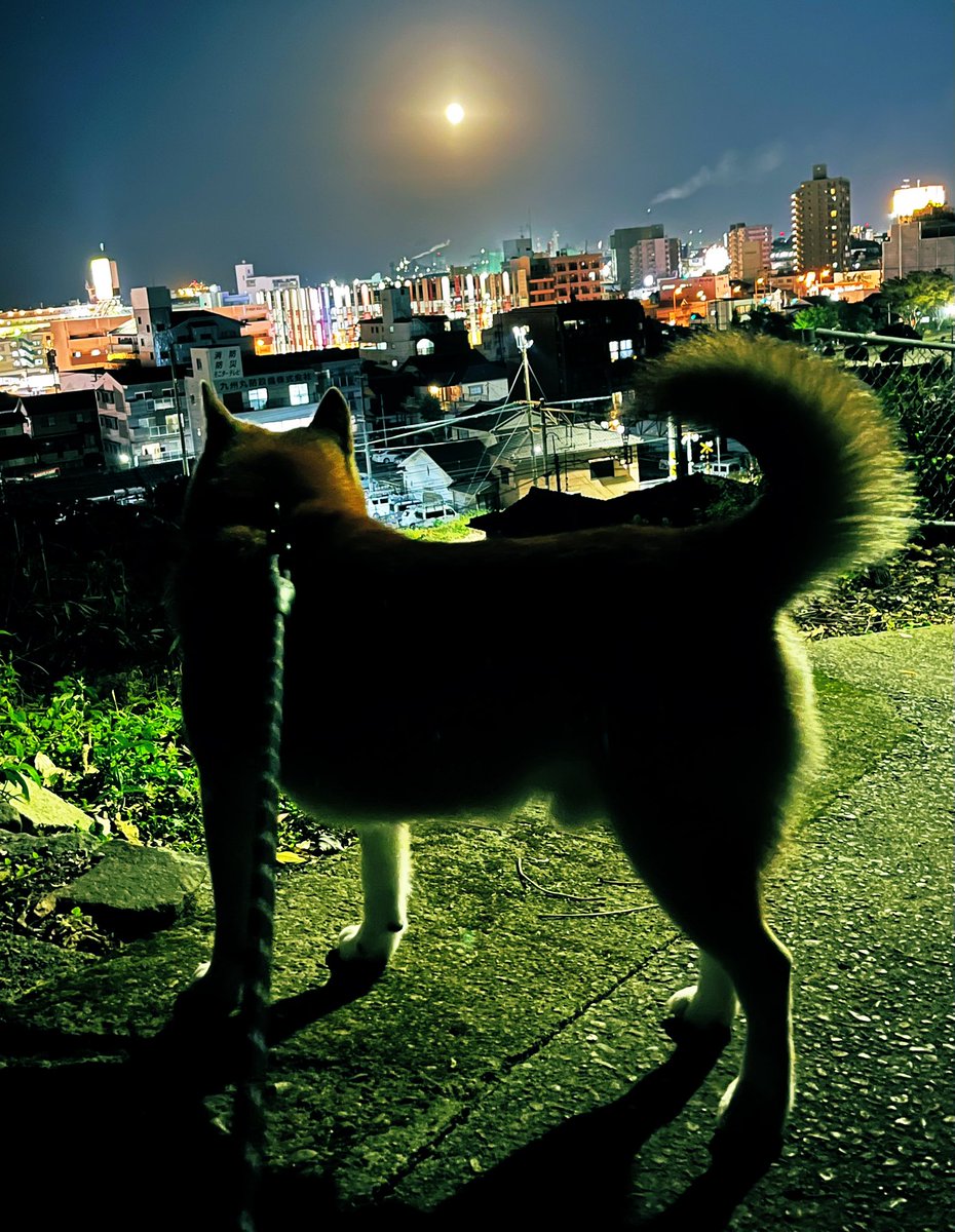 ZカズミRS (@Z1kS8n) / Posts / X