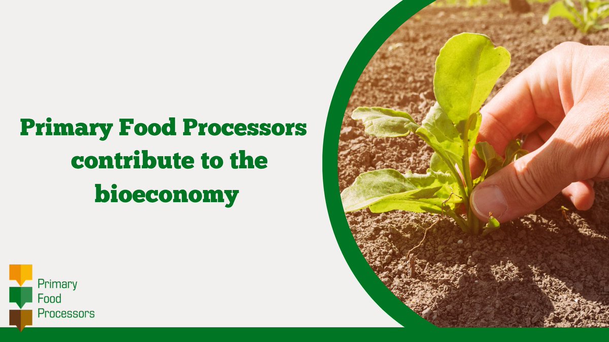 Primary Food Processors tweet media