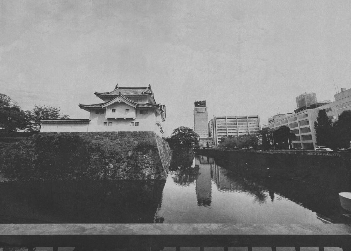 pokotan (@pokotan__in) / Posts / X