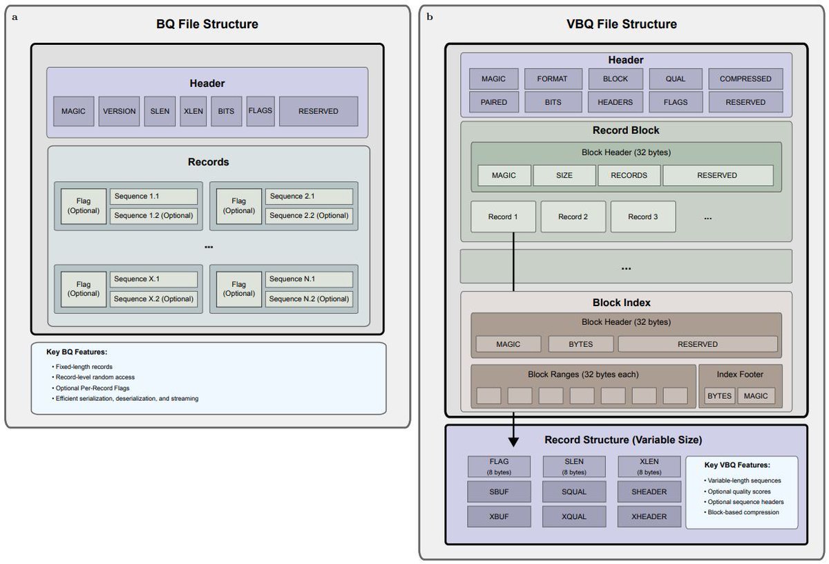 jsantoyo's tweet image. BINSEQ: A Family of High-Performance Binary Formats for Nucleotide Sequences. #DataFormats #Sequencing #Genomics #Bioinformatics @biorxiv_bioinfo 
biorxiv.org/content/10.110…