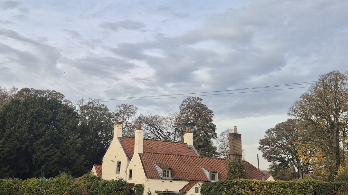 @No1sunkfarmer ©️ tweet media