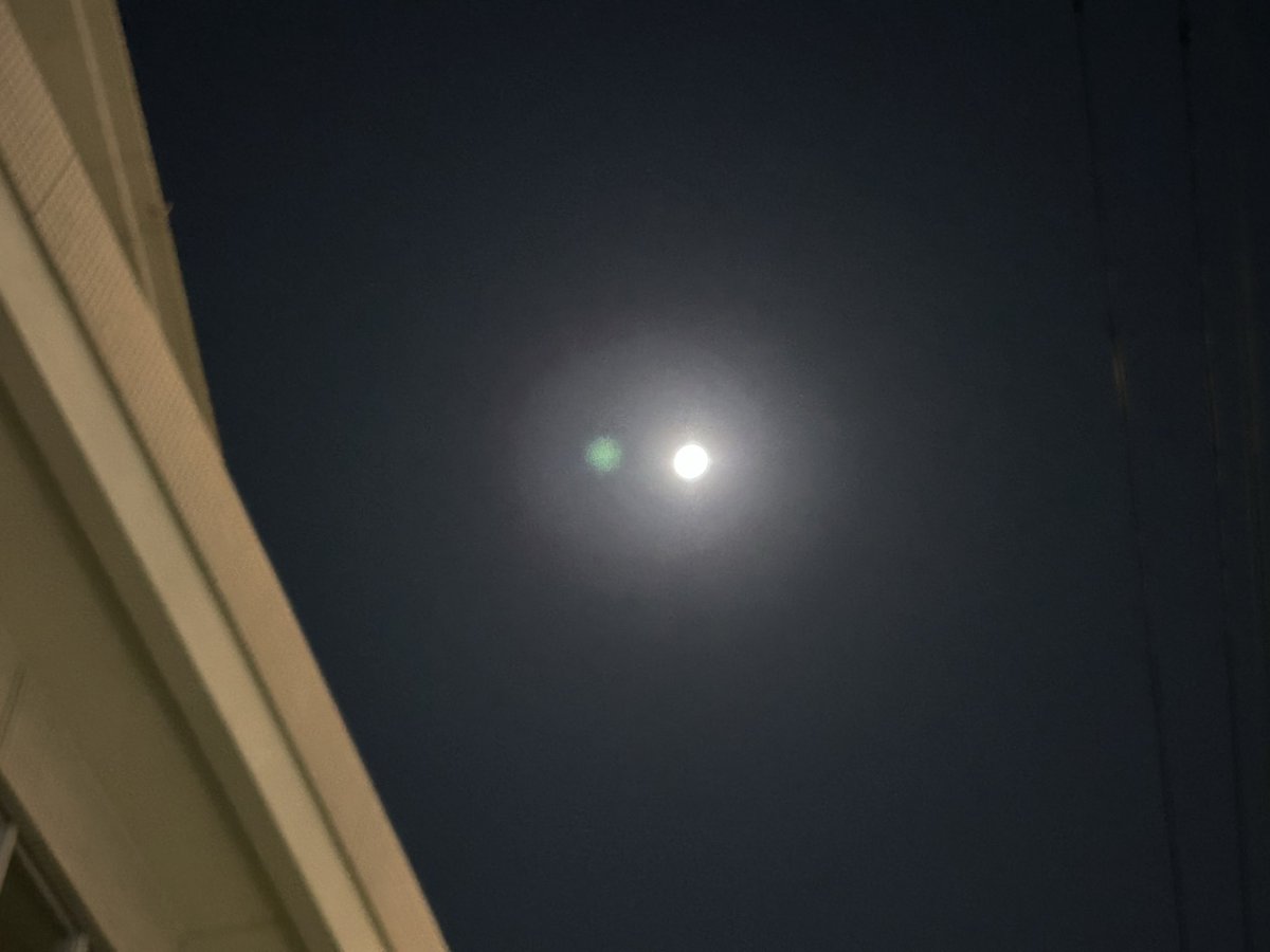 6割引【人生大逆転！一撃で金運上昇✨】富と繁栄✨3333日祈祷✨金龍様と弁財天様 dragon-money.jpg