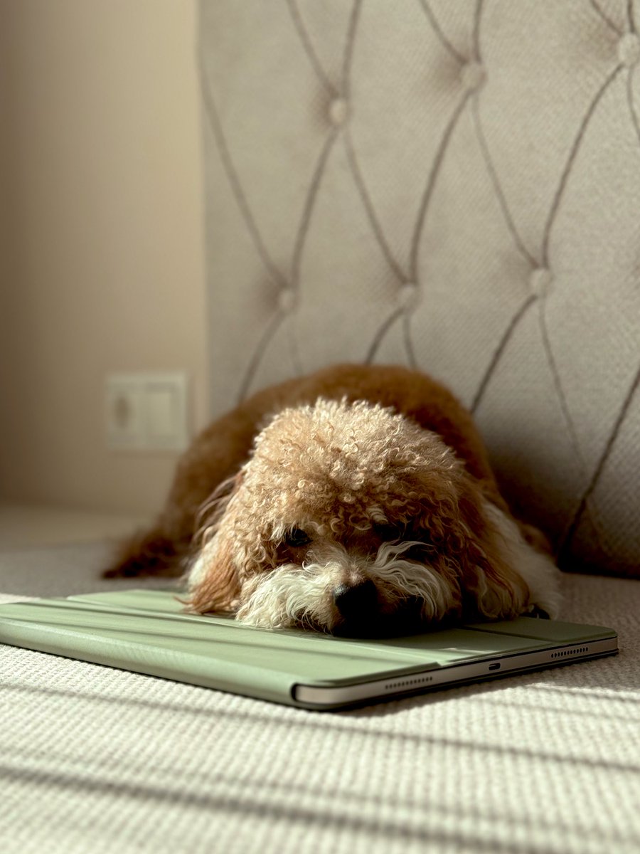 Доброе утро!