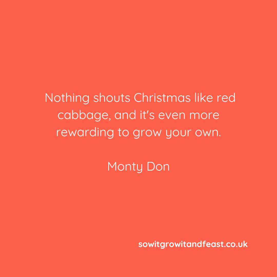 SowGrowFeast's tweet photo. "Nothing shouts Christmas like red cabbage, and it's even more rewarding to grow your own"
Monty Don.
https://t.co/KkVsmRZ67Q
#montydon #montydonquotes #gardening #beinggardening #growyourownfood #christmasfood #redcabbage #loveredcabbage #eattherainbow https://t.co/sSV5MnfPN6