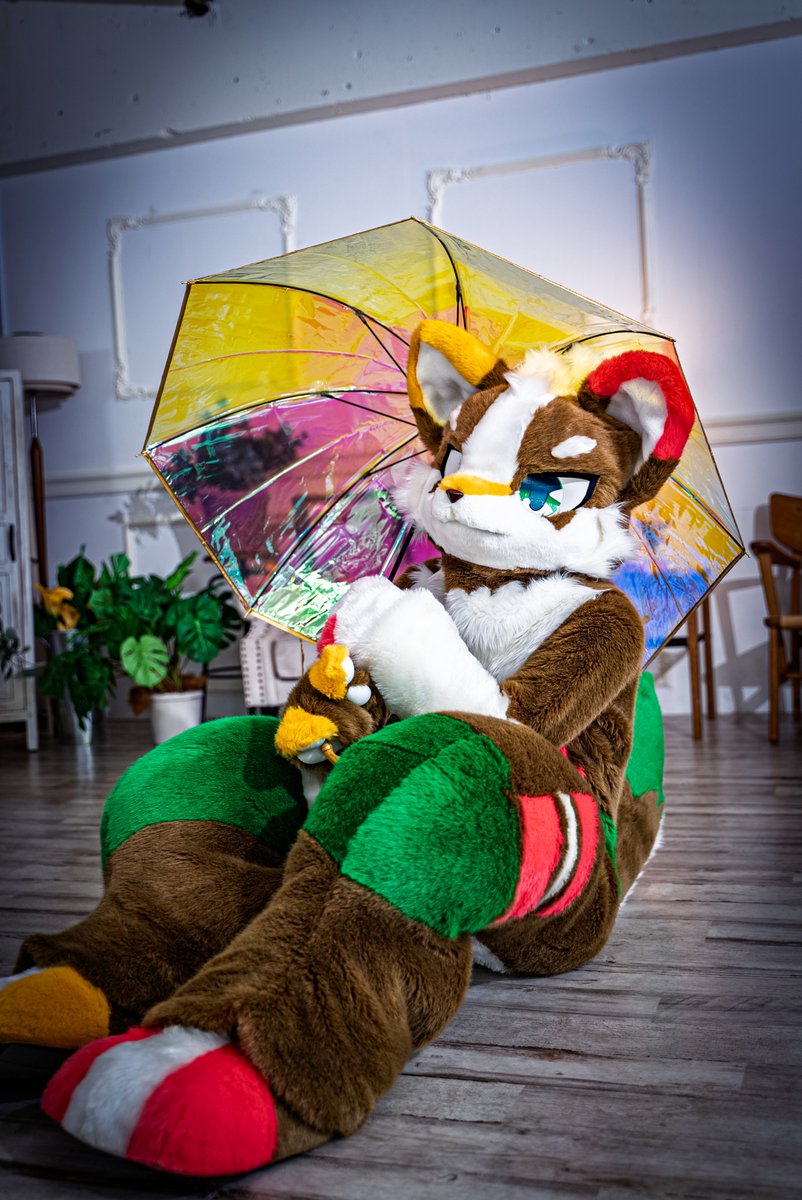 今週末のKemoconに参加するよ、よろしくね！
傘がいらないくらい晴れるといいな！☀️