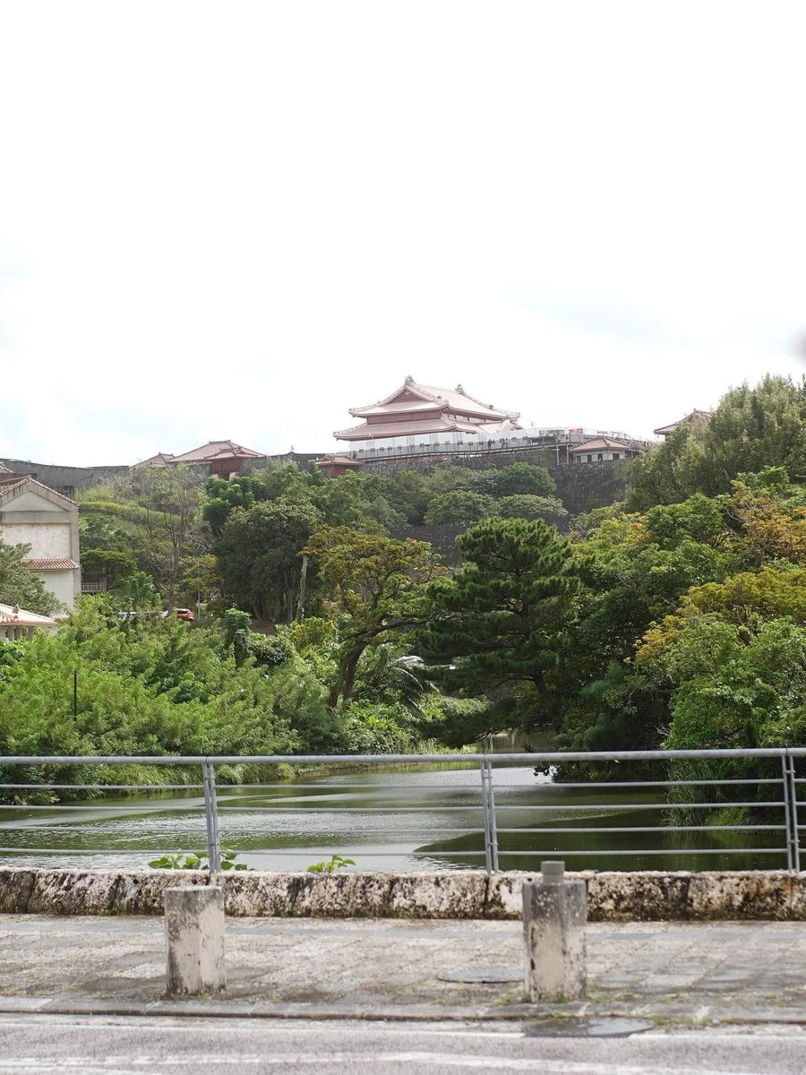 info_kakuman's tweet photo. meet.琉球漆器

@giulietta.okinawa 
首里城が見える場所でイタリア家庭料理と
ワインのお店をされているエノガストロのミア ジュリエッタさん。
店内はまるでイタリア🇮🇹！

琉球漆器でイタリアンを！
見た目もお味も最高なひとときを❤️

#meet琉球漆器 https://t.co/2saL19PWzM