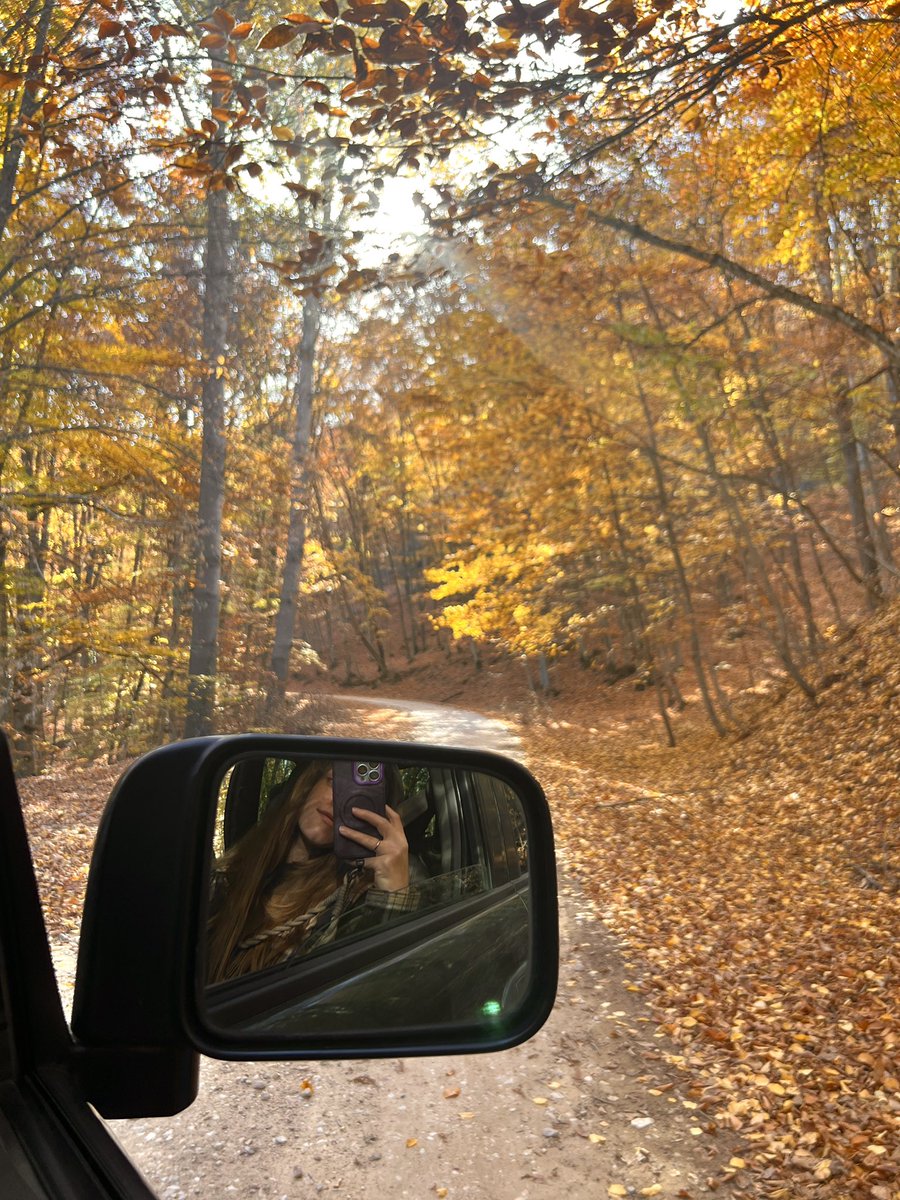 Late gm, beautiful fam 🍂