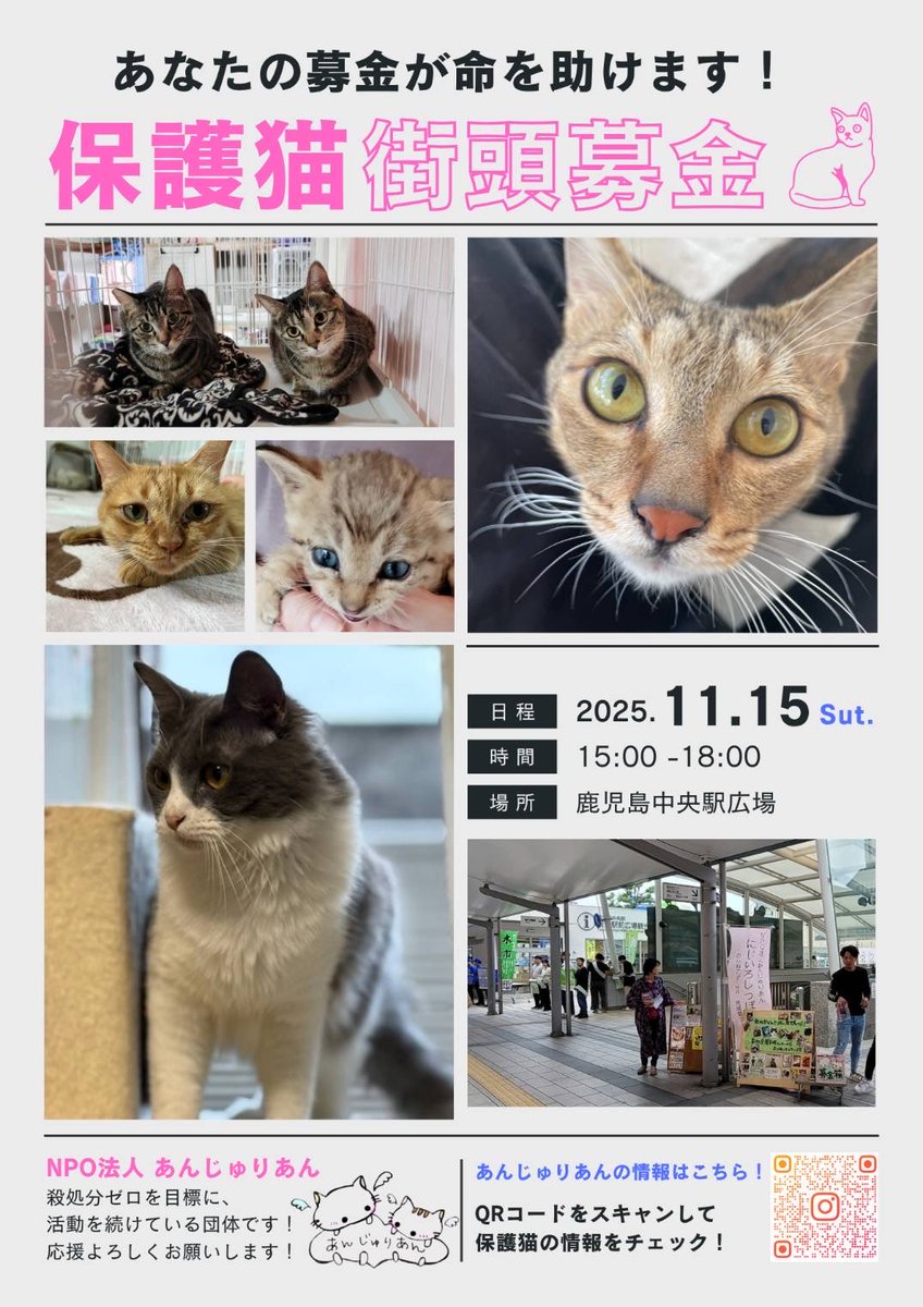 ちゃる❤︎₍ᐢ..ᐢ₎様 Sachi (@sachi1825) / Posts / X