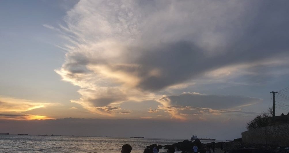 r3c1d1v1st's tweet image. 