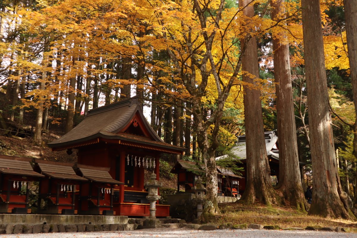 yarigachi_4569's tweet image. 【三峰神社参拝】
　使用カメラ：Canon EOS m200 

　紅葉の季節だっ！

#EOSM200 
#三峰神社
#敷嶋重工写真部