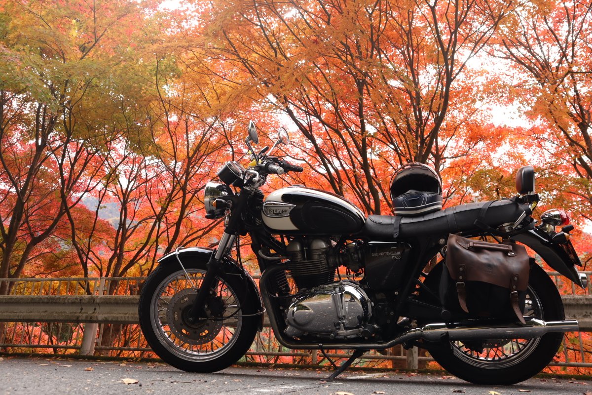yarigachi_4569's tweet image. 【三峰神社参拝】
　使用カメラ：Canon EOS m200 

　紅葉の季節だっ！

#EOSM200 
#三峰神社
#敷嶋重工写真部