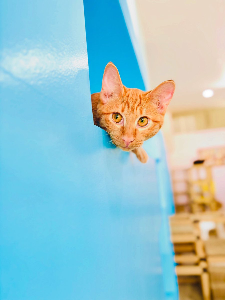 いっちー (@M7VsFqtapEE2k7A) / Posts / X