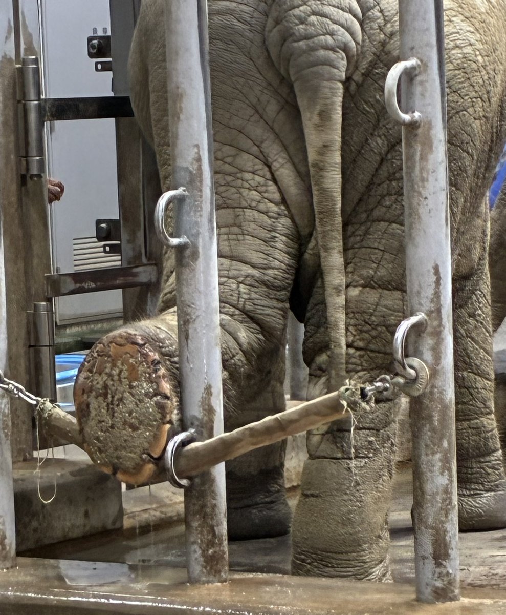 きょうちゃん on X