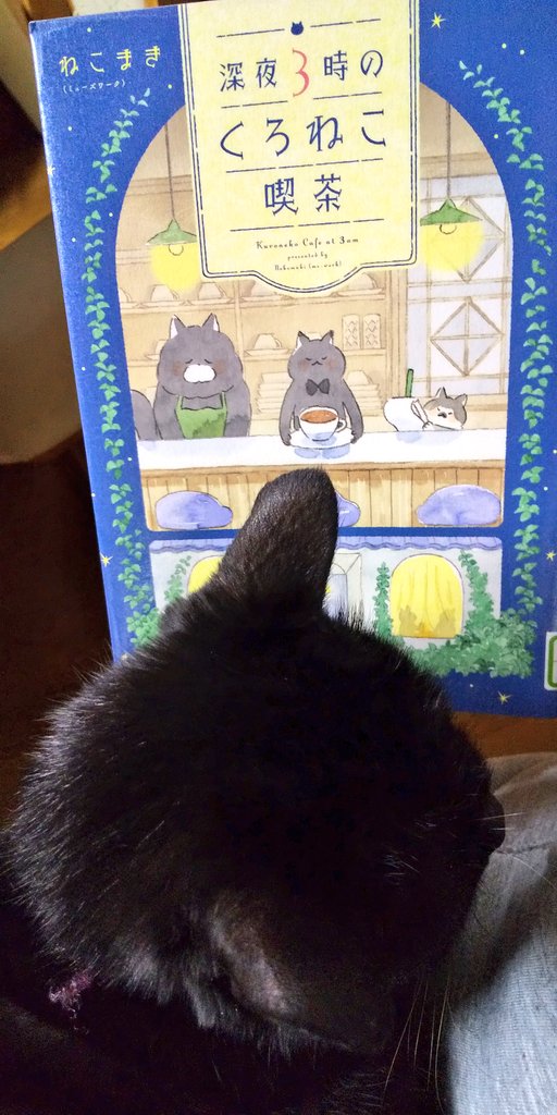 ねこまき様 ねことじいちゃん（11） ねこまき(ミューズワーク)(著