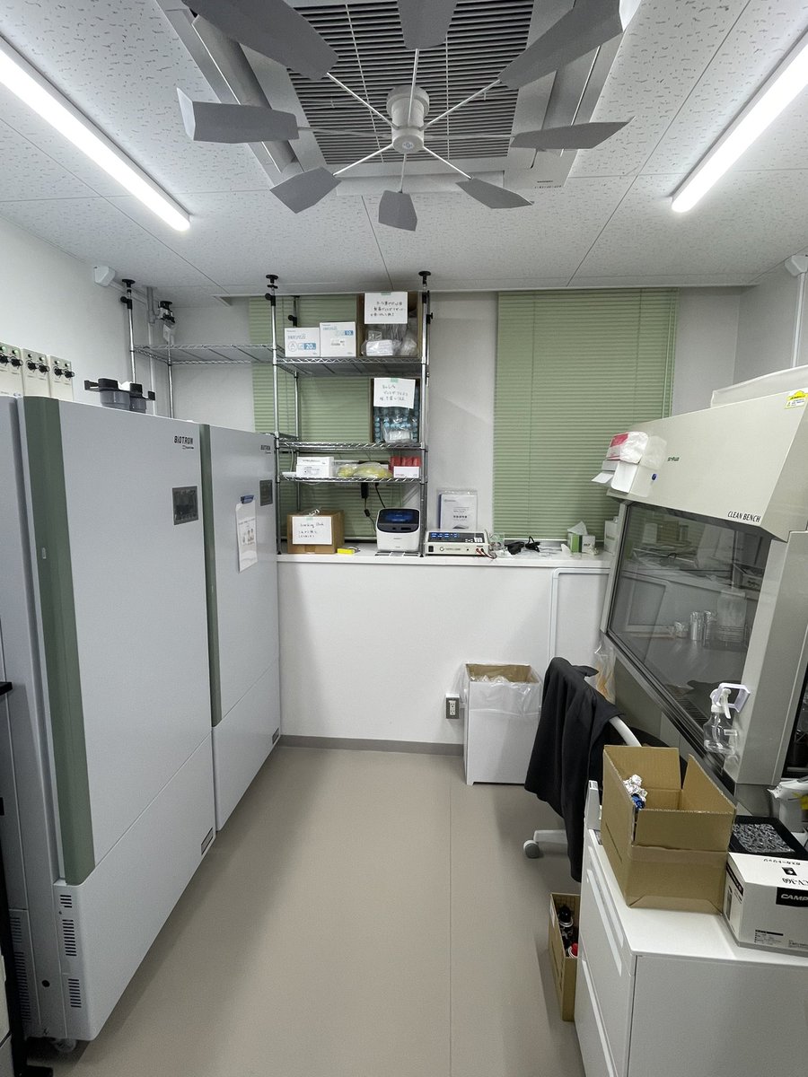 ラボ内の収納を強化するため、培養室の腰壁（デッドスペース）の上にメタルラックを設置しました。
手前の培養機器による挟み込みも含めて、耐震固定もバッチリです💪

これで軽いプラスチック消耗品の収納スペースが確保できました！

#北里大学
#グリーン環境創成科学科
#生物機能開発学研究室