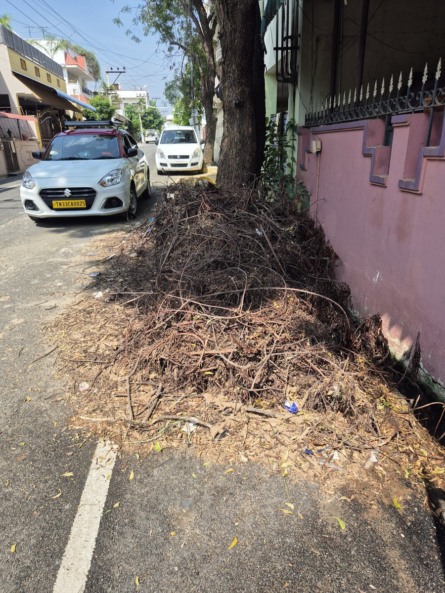 kidzcare's tweet photo. @CollectorErode Trees trimmed by TNEB one month back but debris not cleared.Drainage blocked posting danger of insects and mosquito breeding. Inspite of repeated complaints not being attended Please take action to clear sir.
Location -7th street, sakthi nagar, Thindal. https://t.co/OArIrRaPpo