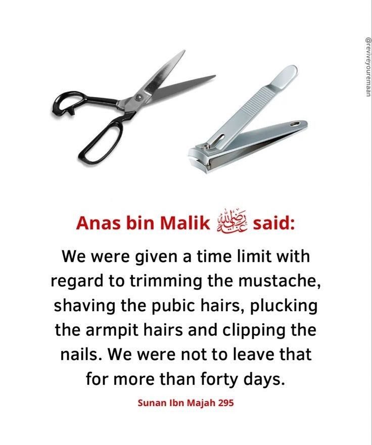 Islam tweet media
