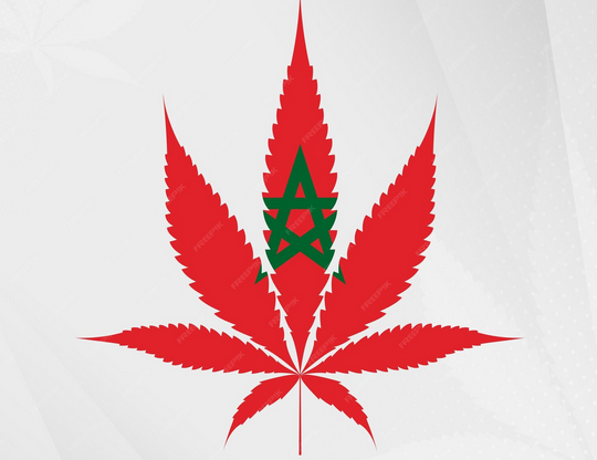 El Parlamento marroquí aprobó en 2021 una ley que regula por  primera vez los usos terapéuticos y cosméticos de cannabis, reduciendo las superficies dedicadas al cultivo ilegal un 85 %, según las últimas estadísticas del ministerio marroquí del Interior. lavanguardia.com/vida/20251104/…