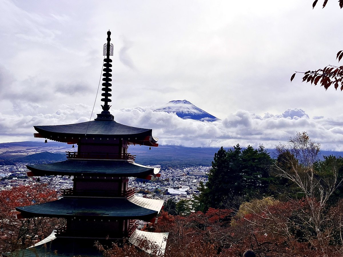 まちけんページです♡ OVERSIZE MESH FULL ZIP HOODIE | KENZO(ケンゾー) / トップス