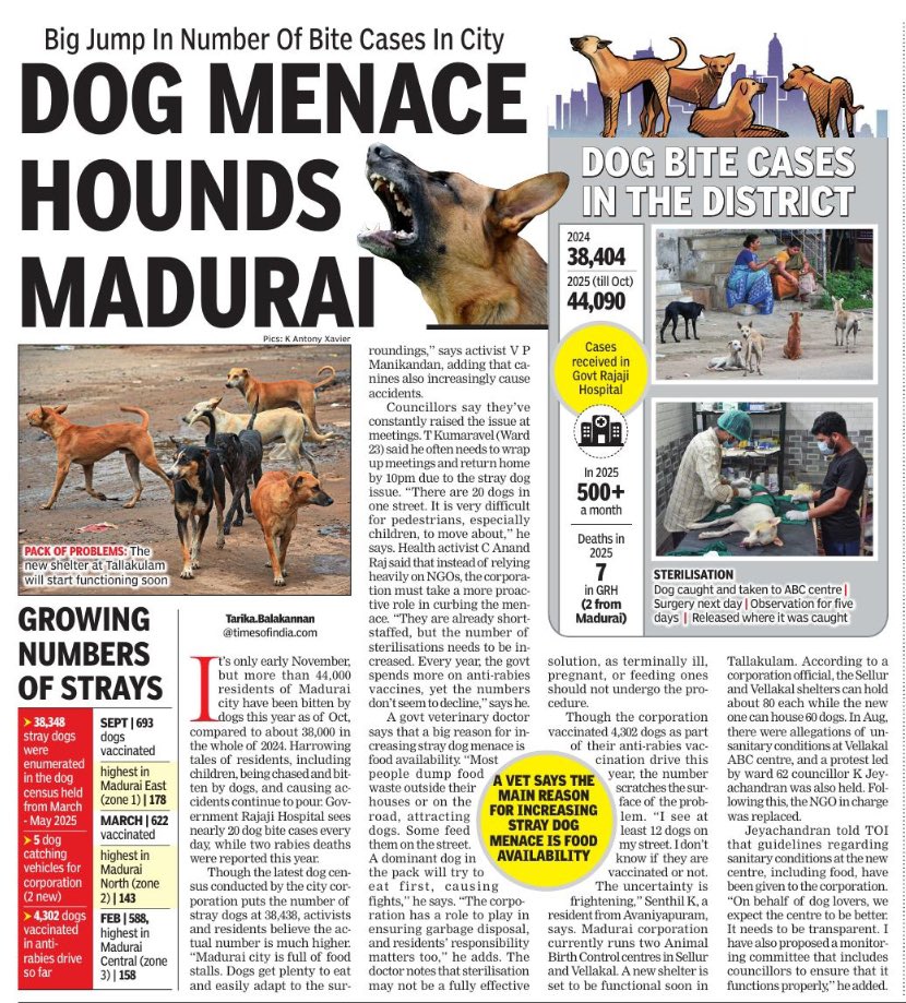tarika___b's tweet photo. #Madurai has recorded more dog bite cases by November this year than in the whole of last year. Two rabies deaths in GRH. #straydog #menace https://t.co/mWoiDtCm1l