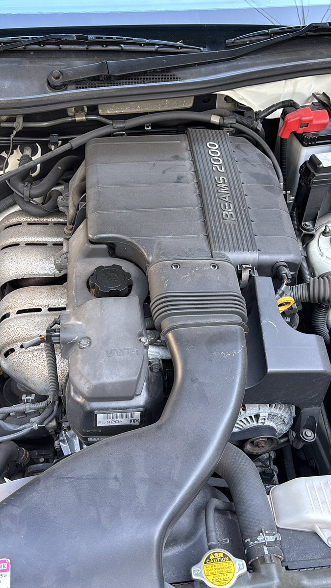 【確認用】ちむちゃん( *°ω°* )/ᵗᑋᵃᐢᵏ ᵞᵒᵘ 確認用】ちむちゃん( *°ω°* )/ᵗᑋᵃᐢᵏ ᵞᵒᵘ かんちむ@