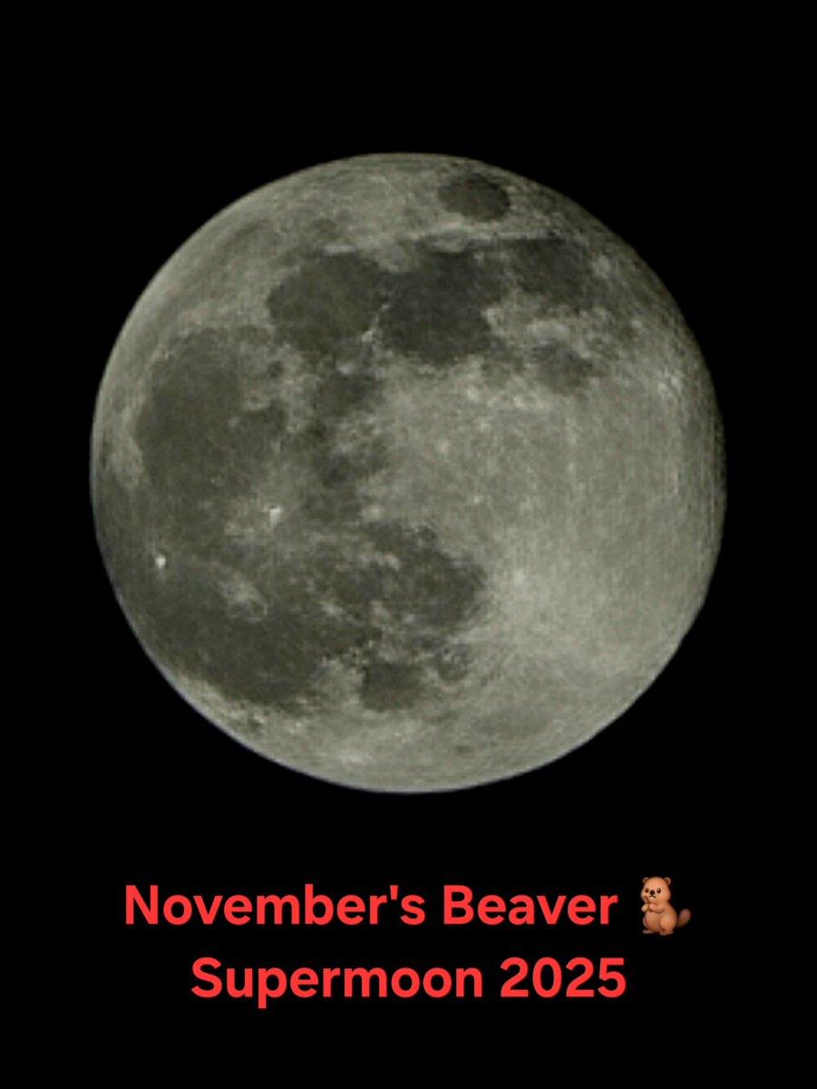 Tonight's #FullBeaverSupermoon🦫 is the biggest and brightest moon of 2025 making it the perfect time to go outside and dance under the moonlight! 
🌑🌘🌗🌖🌕🌔🌓🌒🌑
#LookUp  ⬆️
#BeaverMoon
#supermoon 🌕
#fullmoon
#November ♏️