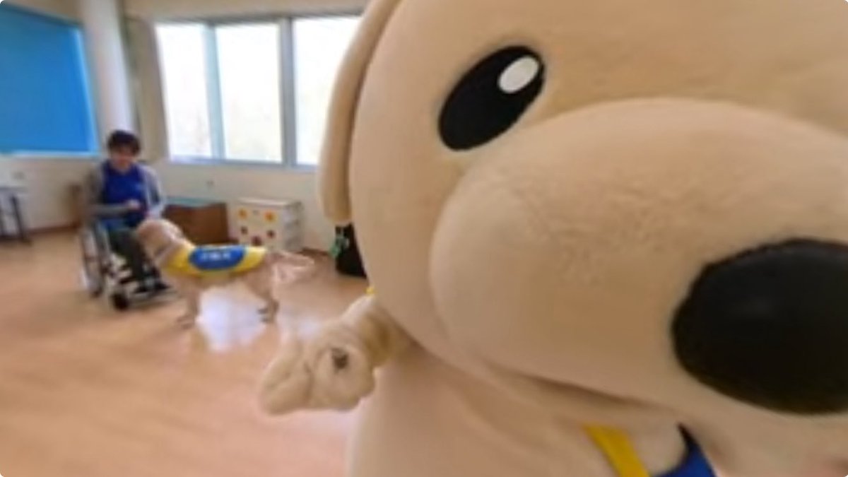 JSDA_ServiceDog's tweet image. 🐾
🐶ウィズと一緒に✨

シンシアの丘を写真と動画で探検してみよう！
普段は見られない施設の中をご紹介しています👀

↓動画の続きはHPから↓
s-dog.jp/about-associat…

#介助犬 #日本介助犬協会 #シンシアの丘
 #ウィズ #マスコットキャラクター のウィズ