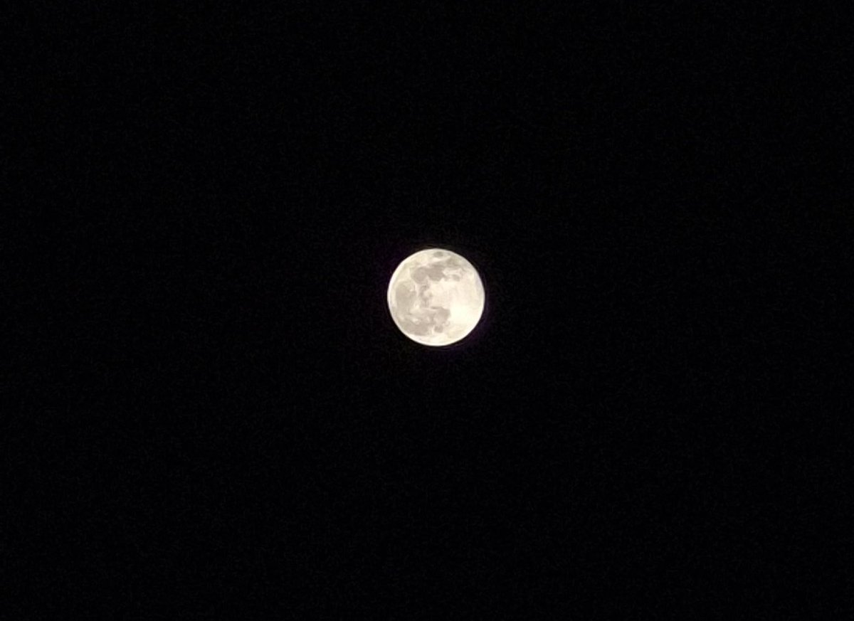 BjxNoticias's tweet photo. Esta noche, la súper luna más grande del año ilumina el cielo de todo México. 🌕✨ https://t.co/kBmVeINdtl