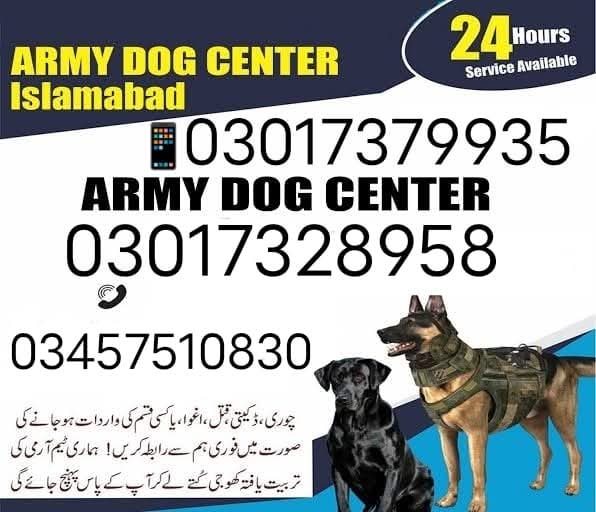 DogCenter's tweet photo. #armydogcenterokara
03457510830 https://t.co/iTpdvpRGCE
