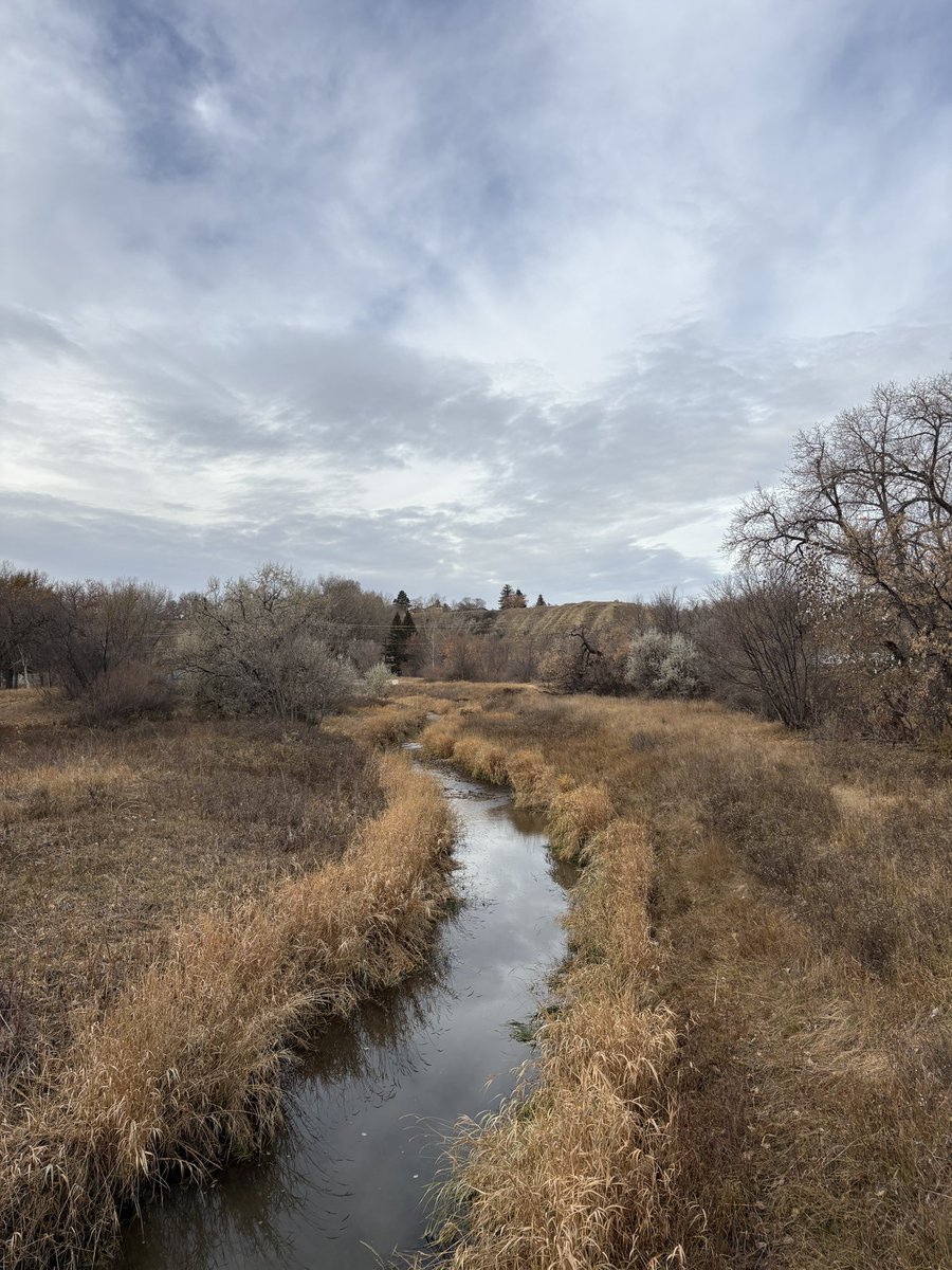Walking Wednesday in PE today. #saamistepee #sharethetrailmh #MedHat