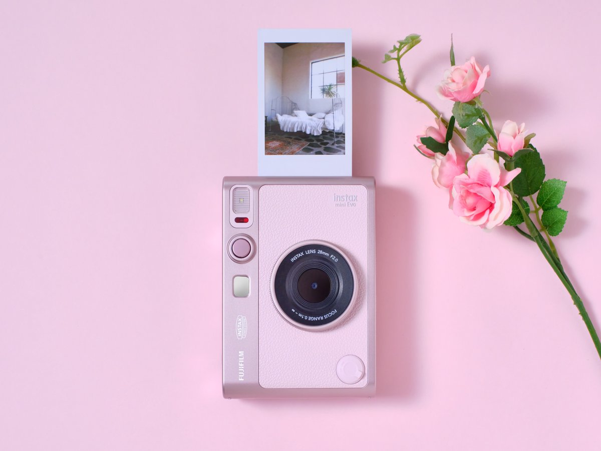 小物 FUJI Fuji T (めくると富士山が現れるTシャツ) - goodbymarket