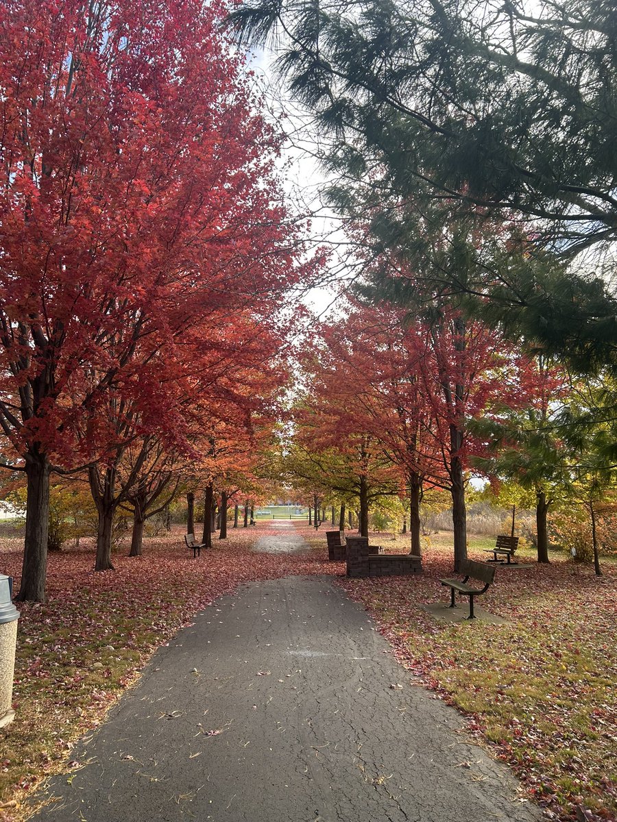 FSPDfun's tweet image. Lincoln-Way North Park 🍂🍁