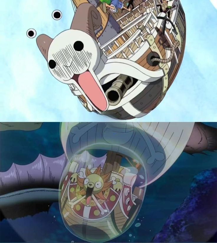 strawhats's tweet photo. https://t.co/n8CX5vSpiW