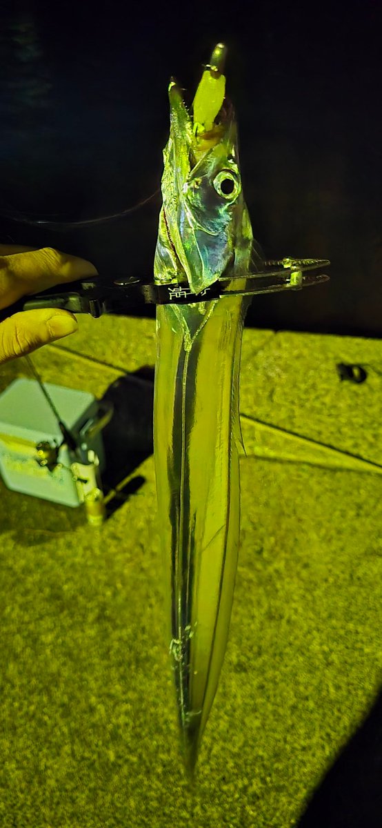 CheMiKal☆まぐやねん↝ tweet media